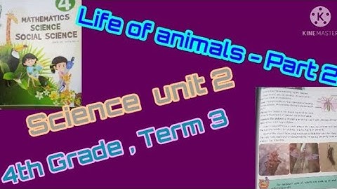 4 Grade Science Term 3 Unit 2 - Life of animals  (Part 2)