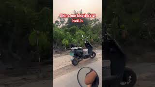 China me kheti kaisi hoti h #trending #indianvlogger #shorts #china