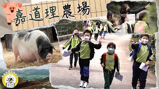 Publication Date: 2023-03-01 | Video Title: 【 小文的每一天．嘉道里農場 】聖文德天主教小學