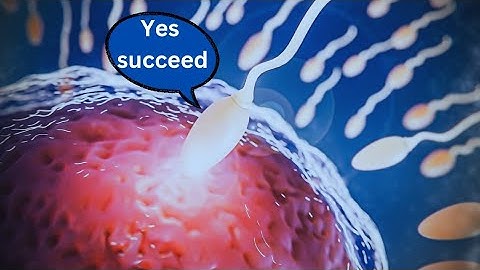 The Miracle of Life: Fertilization of Egg and Sperm in Humans | 3D Animation