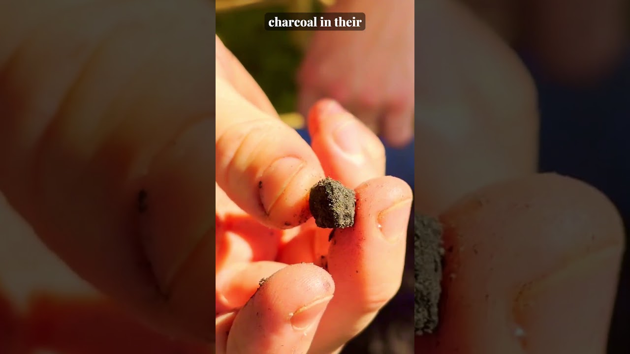 Is Biochar the Oldest Soil Amendment Ever?