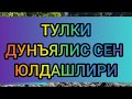 ТУЛКИ-ДУНЪЯЛИС СЕН ЮЛДАШЛИРИ