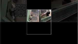 Management ruining everything #programmerhumor #shorts #short