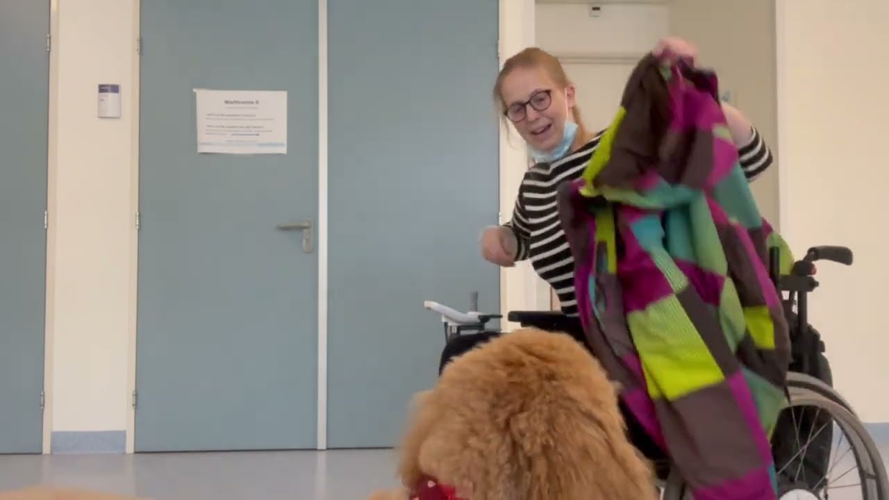 Hulphond Tynke, kijkje achter de schermen van een ADL - Hulphond Nederland