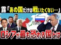 【ゆっくり解説】実はアメリカではない!?ロシアが最も警戒している国が持つ脅威の力とは【ウクライナ侵攻】