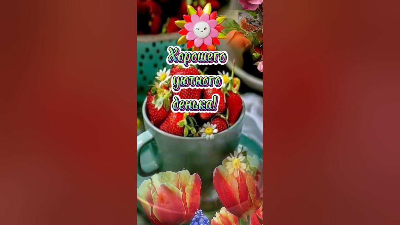 С добрым утром☕🍰☀ с новым!🍃🌹🍃 - YouTube