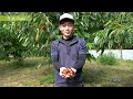 兵庫県産食材プロモーション動画