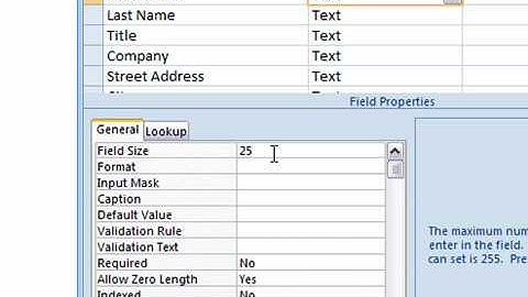 Use the Text Data Type in Access 2007