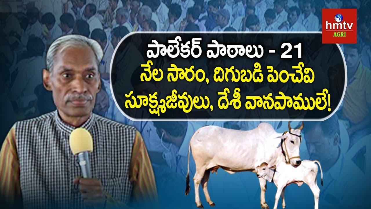 నేల సారం, దిగుబడి పెంచేవి సూక్ష్మజీవులు, దేశీ వానపాములే! | Subhash Palekar Lessons #21 | hmtv Agri