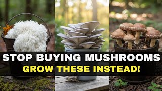 Forget Gardens: 12 Survival Mushrooms You Can Grow in Buckets for Life