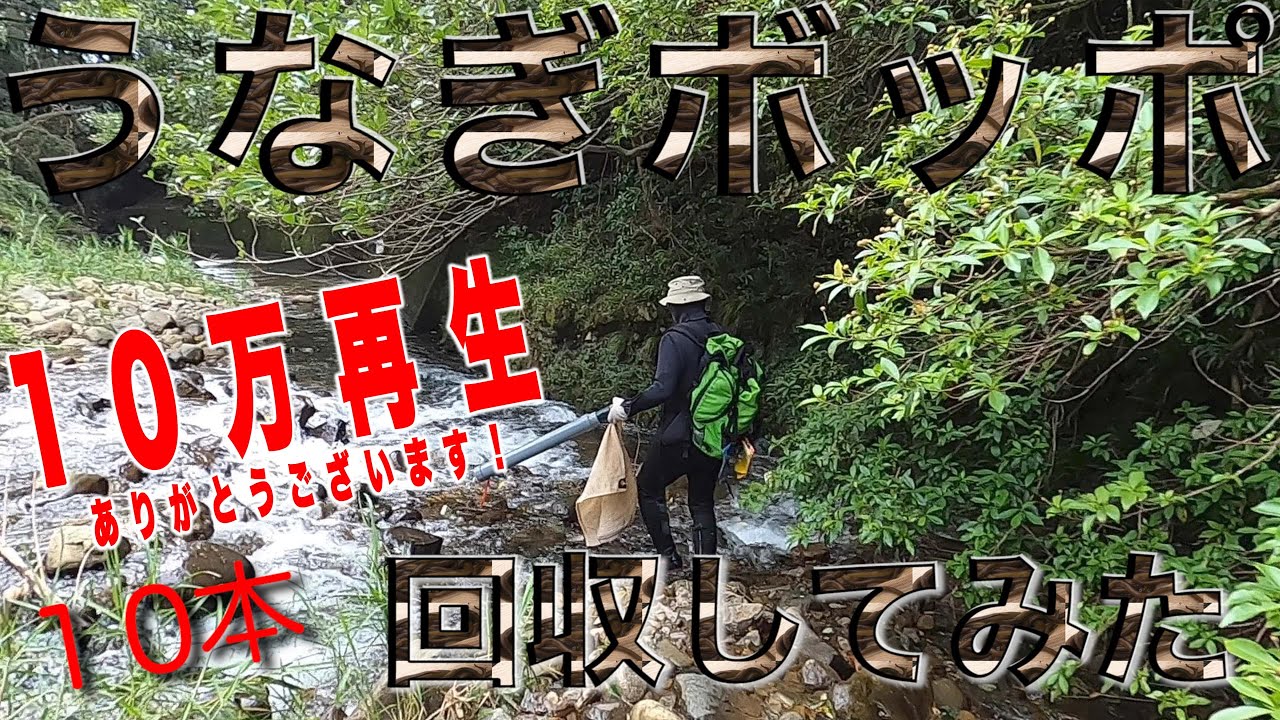 恋するばんちょ　うなぎてぼ 魚かご マルシン漁具 Pウナギテボ （うなぎカゴ・もんどり・うなぎうけ