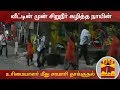 New video by Thanthi TV on YouTube