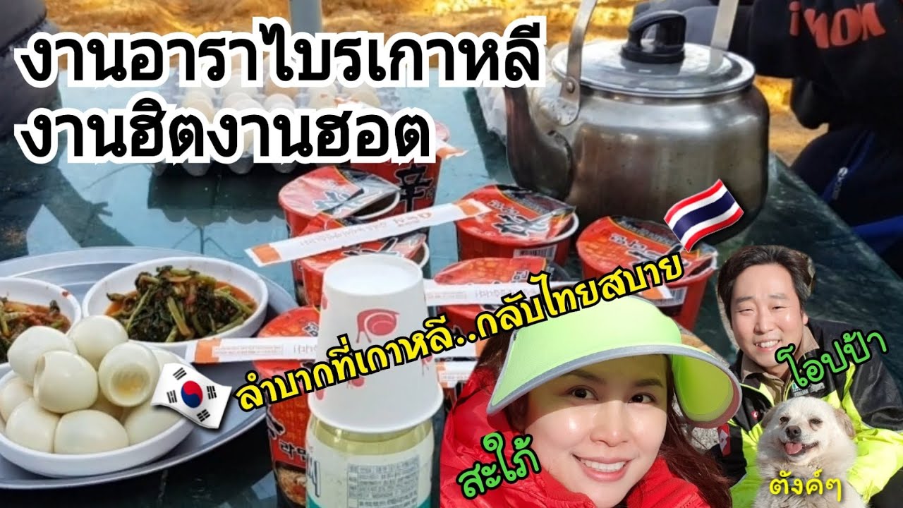 งานอาราไบรเกาหลีหน้าตาเป็นยังไงไปดูกันค่ะ/EP.96/คนไทยทำงานเกษตรในเกาหลี/ปลูกโทราจี/เเม่บ้านเกาหลี