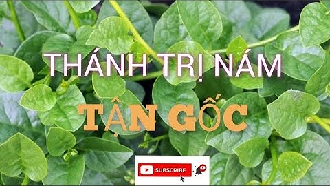 TRỊ NÁM MẢNG, TÀN NHANG HIỆU QUẢ BẤT NGỜ