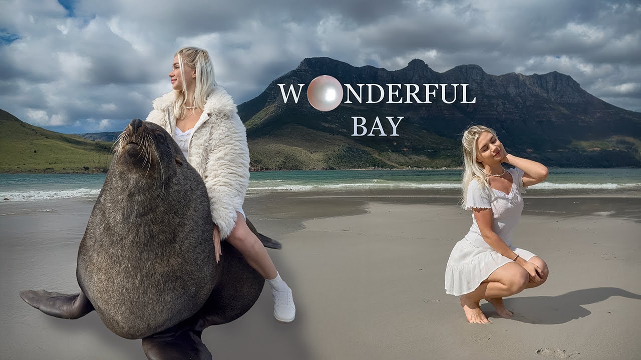 Walk, ride seals, choose pearls and travel to Seal island with Alice 🦭🐬