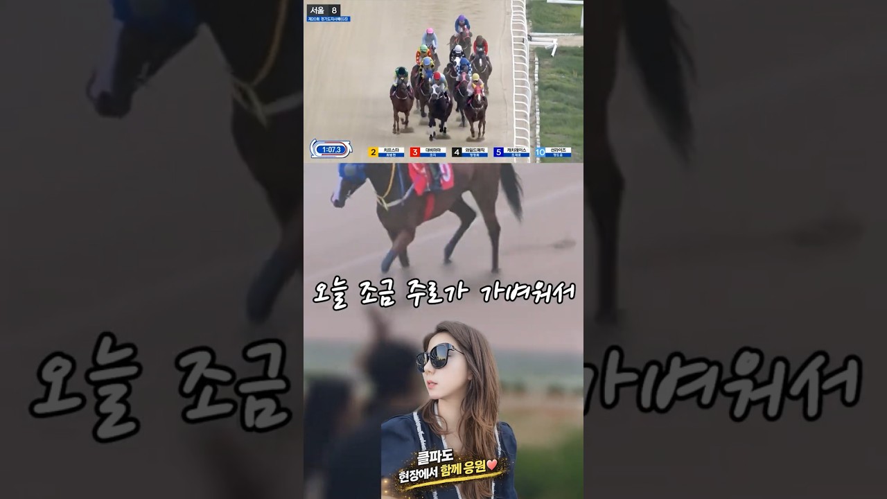 현장에서 직접 확인한 경기도지사배!! 우승마는?