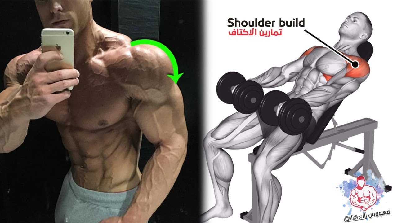 أقوى 7 تمارين الكتف كمال الاجسام (تكوير الكتف ) - shoulder exercises