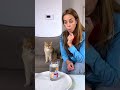 オレンジは浮くのか?!猫と一緒に科学実験🔬🐈