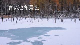 美瑛青い池冬景色2016年11月3日「北海道の絶景」