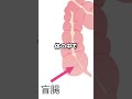 判例：のぞき犯が証拠のＳDカード飲み込んだ 　#Shorts