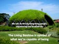 The Living Beehive