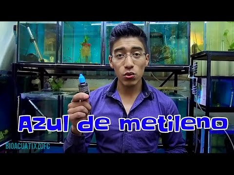 Como usar el azul de metileno en el acuario hqdefault