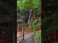 📍Fudo falls / Kanagawa/🇯🇵