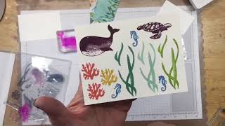 Water Globe Shaker Card! The Whale Done Bundle and A Whale of a Good Time Suite by Stampin Up!