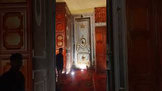 టటనక షప లపల చడడ ఎత ఎత బవద