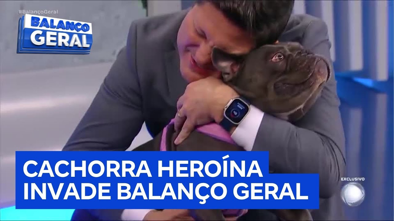 Cachorra que espantou ladrão e ama alface conhece o estúdio do Balanço Geral