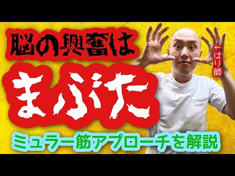 【脳の興奮はまぶたが原因】頭鳴り、耳鳴り、脳過敏症候群はまぶたからくる!眼瞼下垂のセルフケアを鍼灸師が解説!ミュラー筋を整える!
