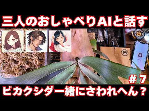 ビカクシダと僕。 - YouTube