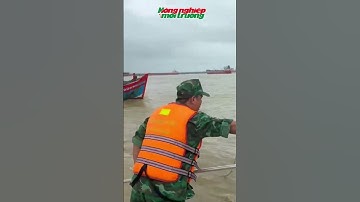 Quảng Ngãi: 4 Tàu Cá Bứt Neo, Trôi Dạt Vô Định Trong Đêm Bão Lớn