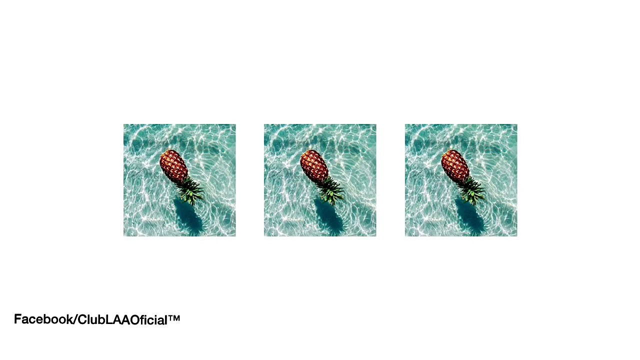 Luís Alberto Aguilera | SAFE/ A salvo 🍃🌸