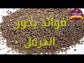 فوائد بخور الحرمل