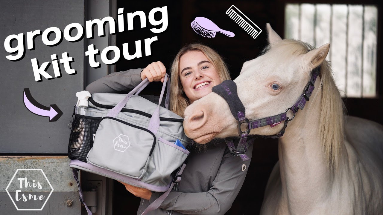 What's in my Grooming Box / Tote?! + Tour with Mickey! AD