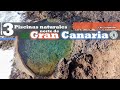 Piscinas Naturales Norte de Gran Canaria: 1 Capítulo  #verano La Punta de Gáldar y Caleta de Abajo