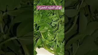 فوائد الحلبه الخضراء