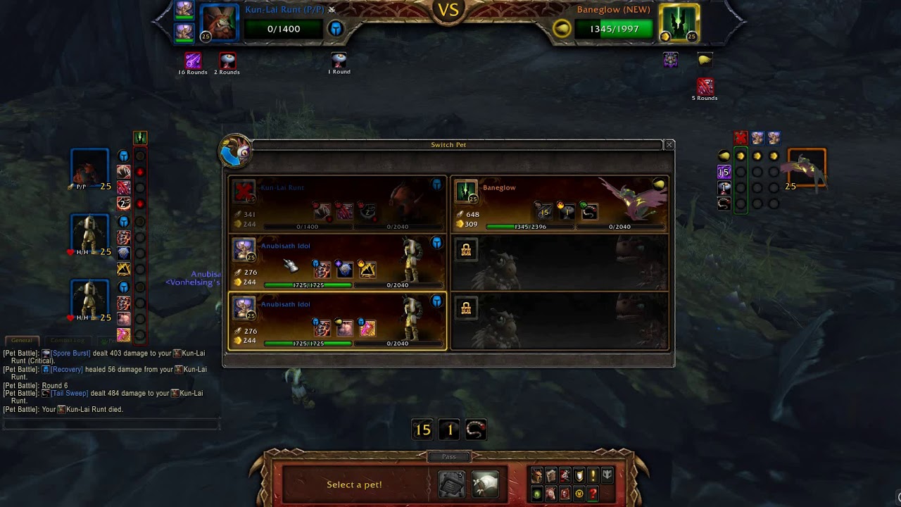 WOW - pet battle Baneglow VS  Humanoid