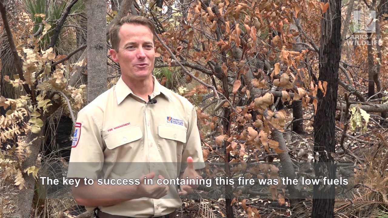 parks and rec characters 16. How a prescribed burn helped stop two bushfires