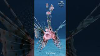 3 Animal Transformations That Will Blow Your Mind