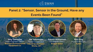 SWAN Phoenix Workshop: Panel 2: Sensor, Sensor in the Ground, Have any Events Been Found