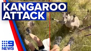 Woman’s warning after being viciously attacked by a kangaroo | 9 News Australia