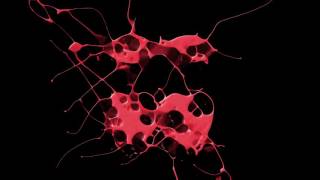 Romine Vs Tuccillo - The Dark Jp Candela & Vlada Asanin Rising Mix