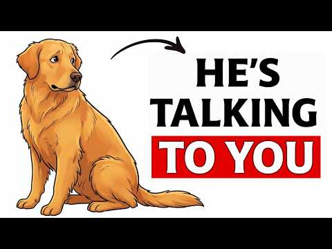 How To Speak Dog: 8 Body Language Signals You're Misreading