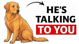 How To Speak Dog: 8 Body Language Signals You're Misreading