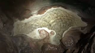 Spatial Audio Tidepool