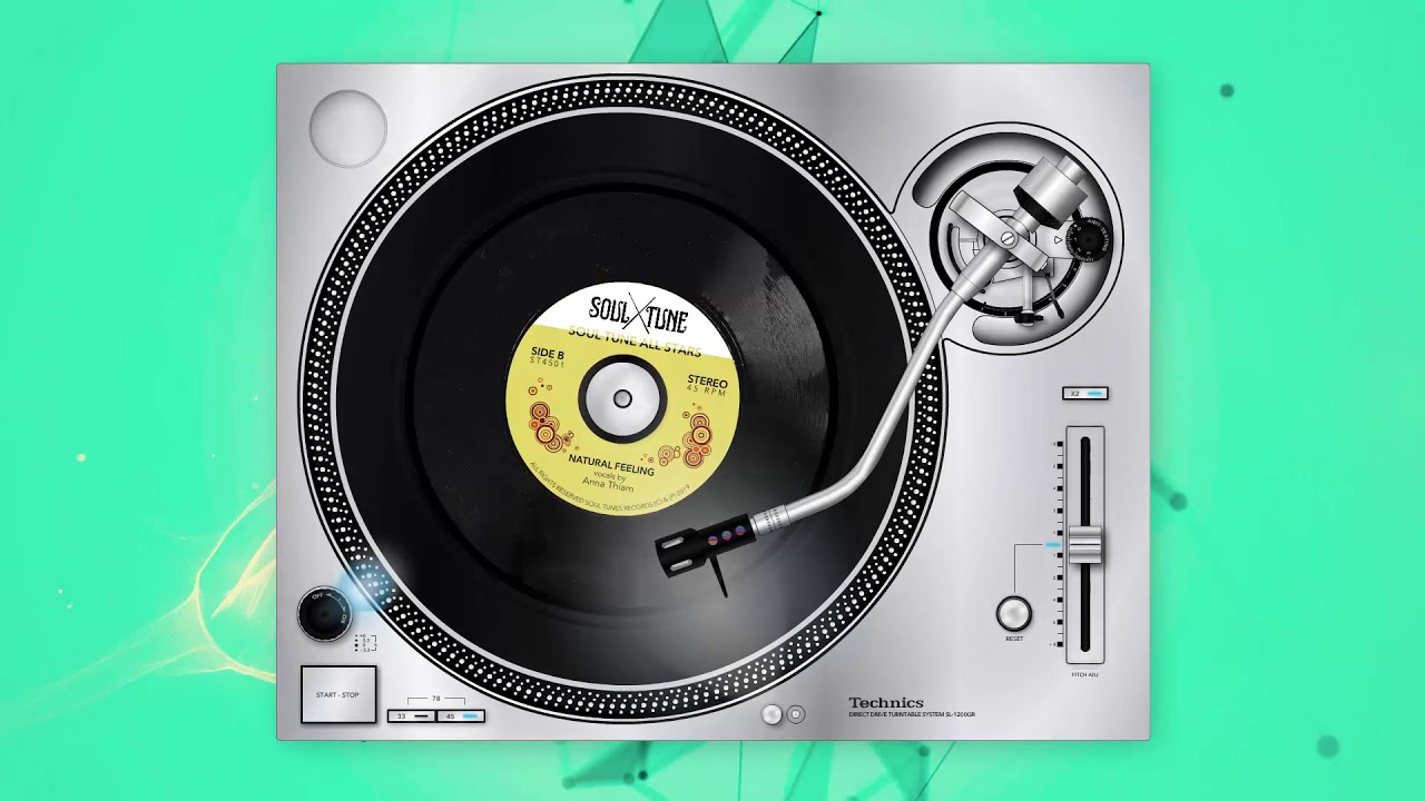 Soul Tune Allstars-Natural Feeling