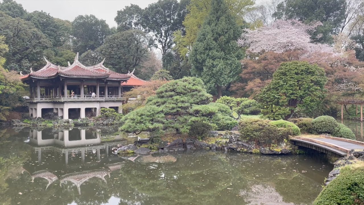 21-days-in-japan-2023-youtube