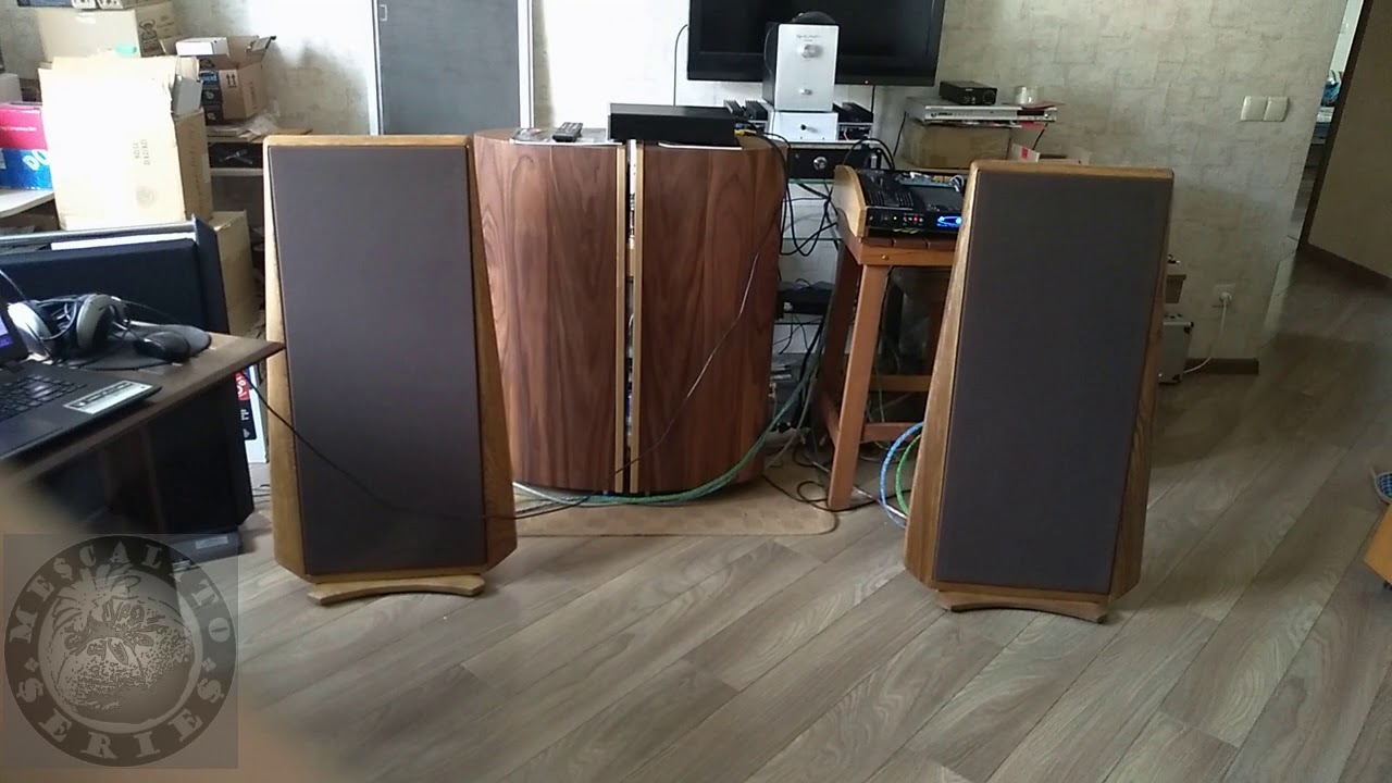 diy dml speaker